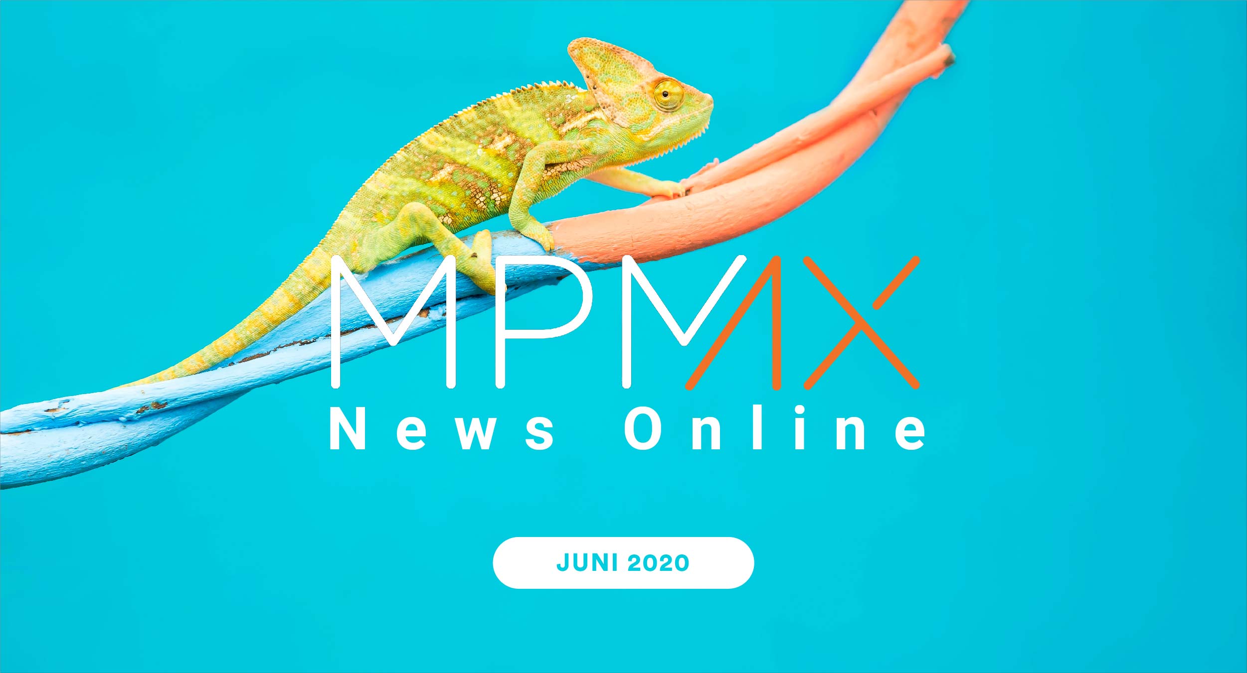 Mpmax Online June 2020 Mpm Group